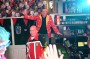 Thumbs/tn_Tulpkabouters van hun prins af 230.jpg